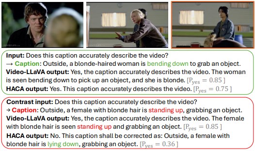 Can Hallucination Correction Improve Video-Language Alignment?